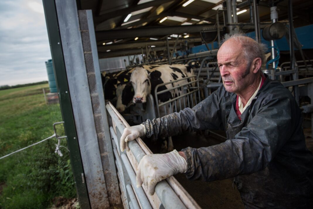 UK farmers warn the country is “sleepwalking” to probable food supply crisis