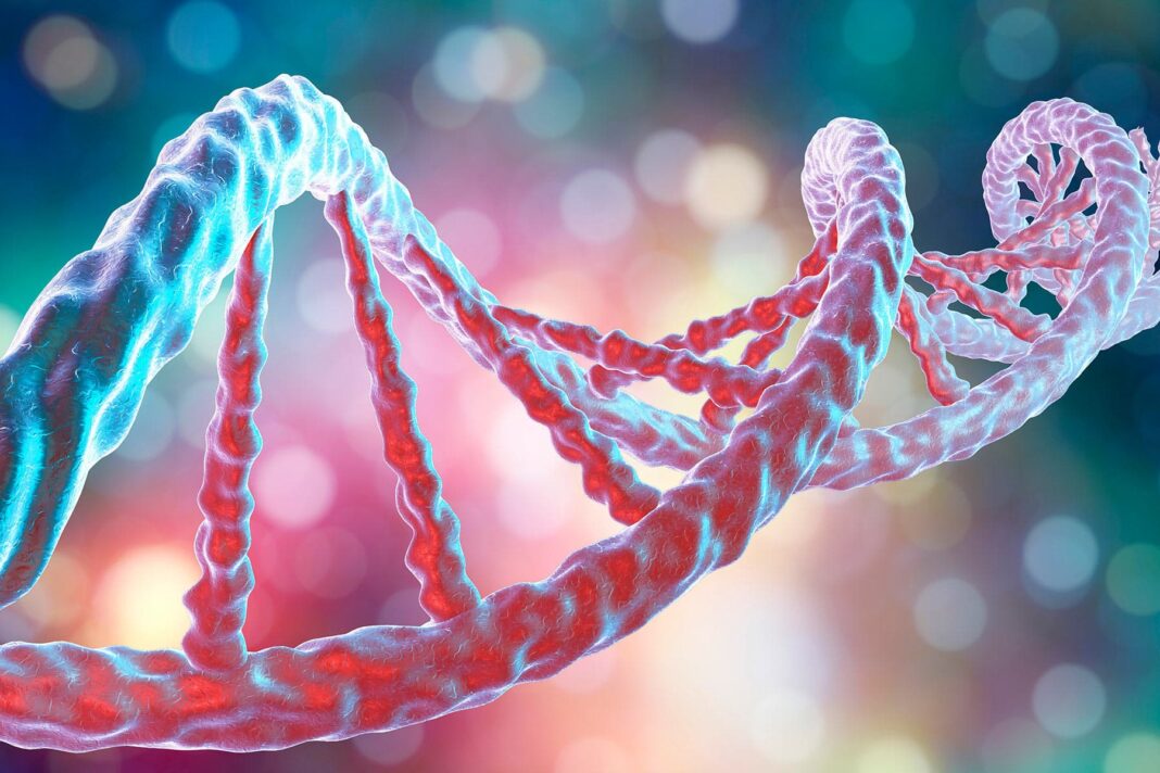 Newly Discovered Genetic Disease Is More Common Than Expected