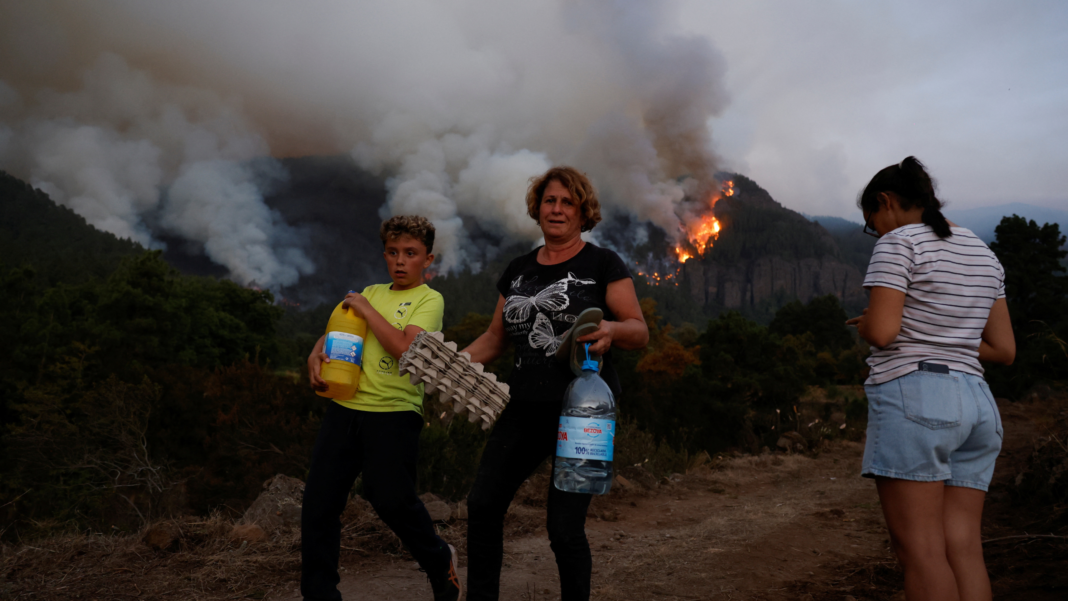 テネリフェ観光客に注意：スペインの人気観光地で水不足が宣言される