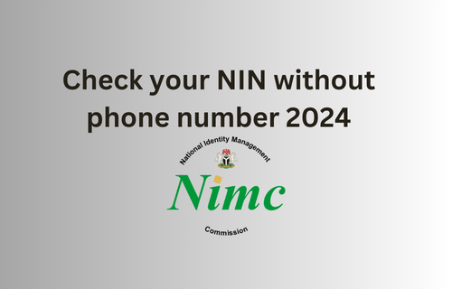 電話番号なしでNINを確認する 2024